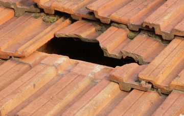 roof repair Whitsbury, Hampshire